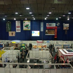 cominfo_history 18.10.2005 17-36-10